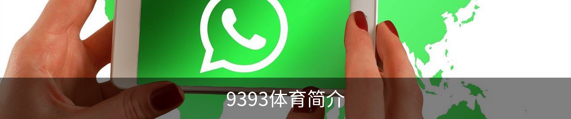 9393体育简介
